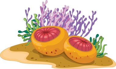 Still life clipart