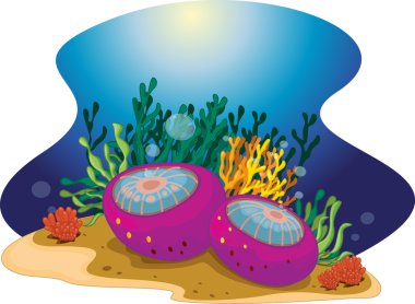 Sea Plants clipart