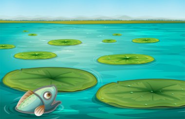 lily pads clipart