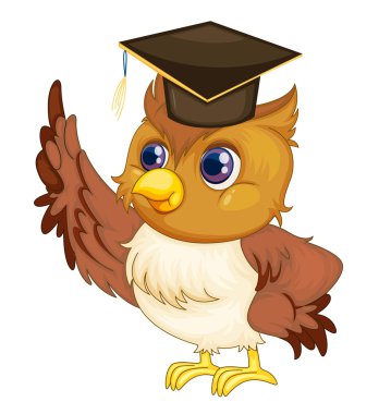 Wise owl clipart