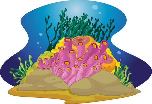 Algas marinhas —  Vetores de Stock