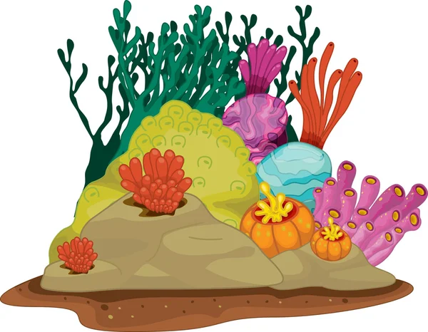 Mořské rostliny — Stockový vektor