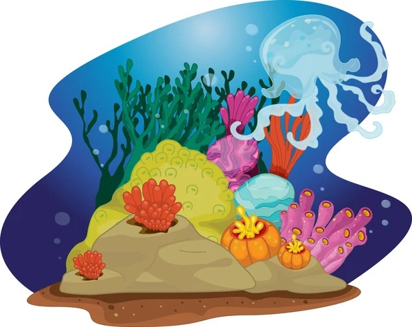 海洋植物 — 图库矢量图片