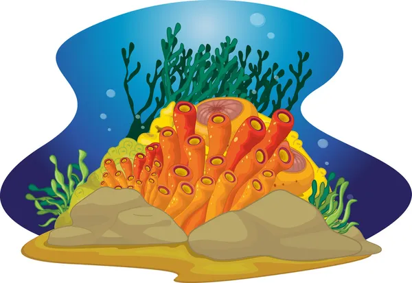Meeresbodenpflanzen — Stockvektor