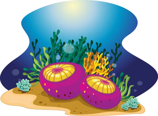 수생 식물 — 스톡 벡터