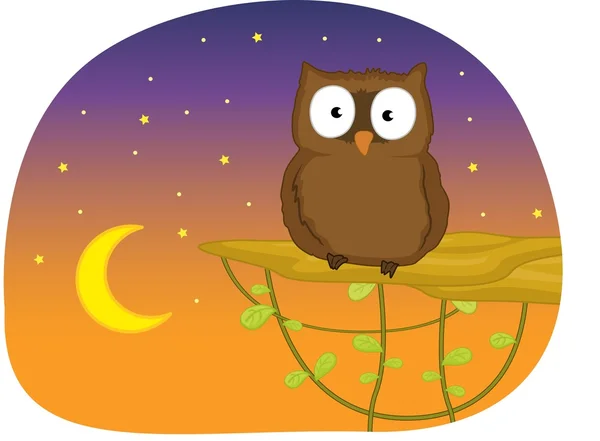 Owl in the night — Stock Vector
