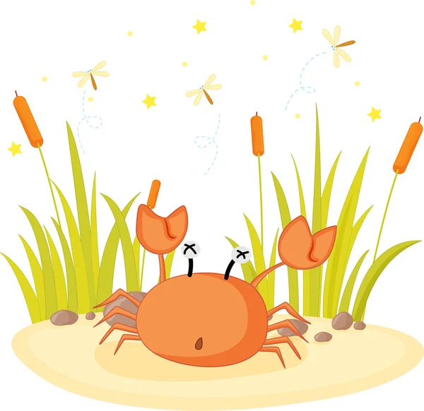 stock vector crab