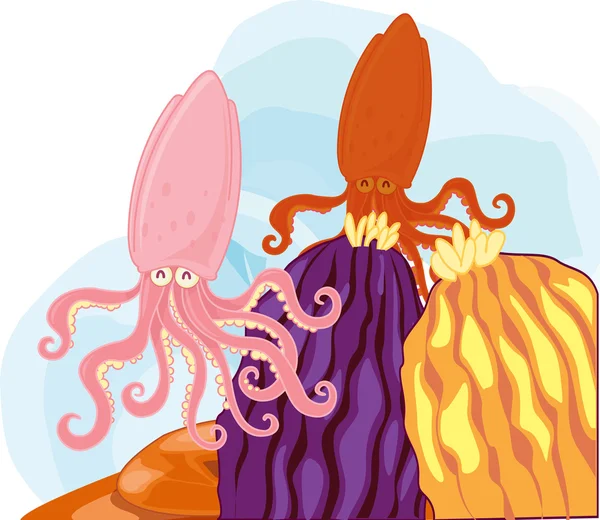 Calamars — Image vectorielle
