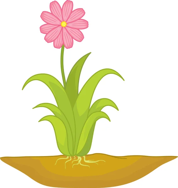 Pink flower — Stock Vector