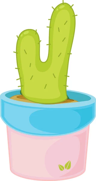 Kaktus — Stock vektor