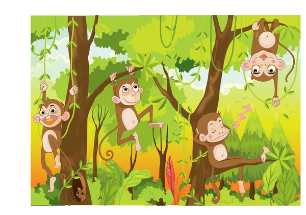 Monos de dibujos animados — Vector de stock