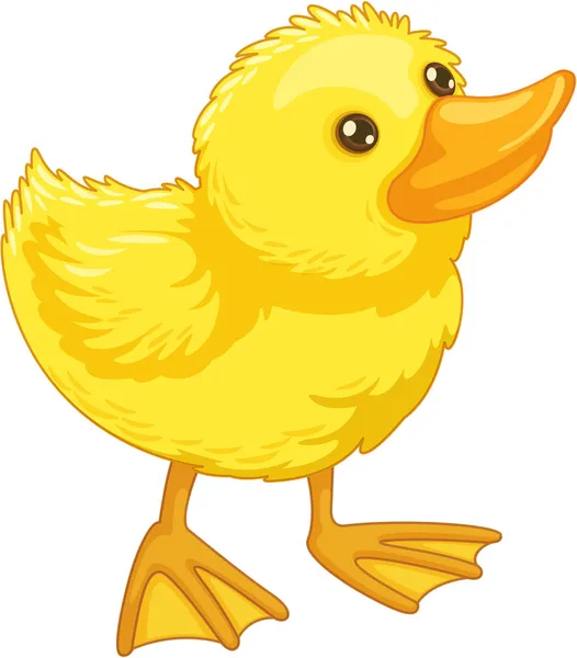 Cute cartoon duck — Stock Vector