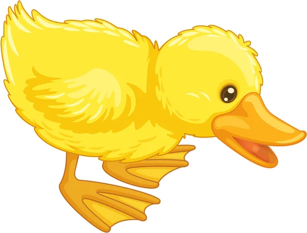 Roztomilý kreslený kachna — Stockový vektor