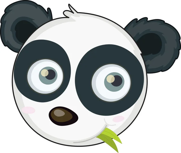 Panda yüz — Stok Vektör