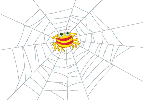 Pók a hálóban — Stock Vector