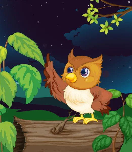 Night Owl — Wektor stockowy