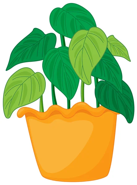Gröna bladgrönsaker — Stock vektor