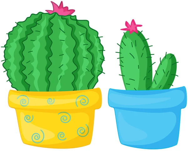 Cactus — Archivo Imágenes Vectoriales