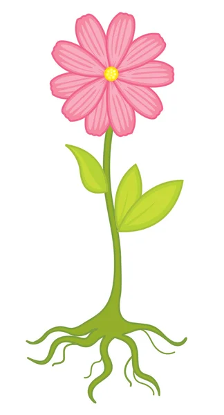 Иллюстрация цветка на белом Лицензионные Стоковые Иллюстрации