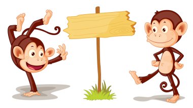 Monkeys with banner clipart