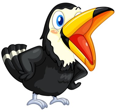 Toucan on white background clipart
