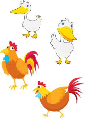 Fowls vector