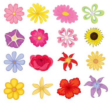 flowers clipart