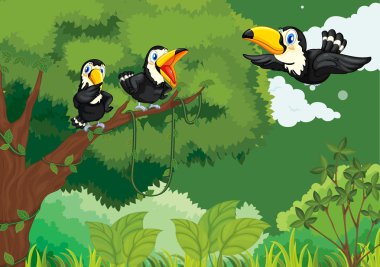 Toucans in the jungle clipart