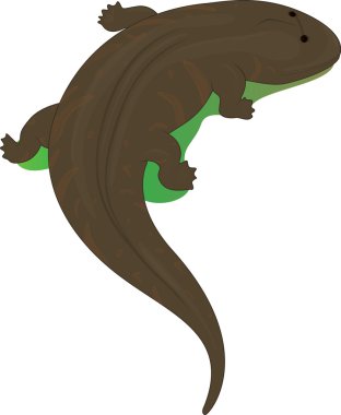 Tiktaalik clipart