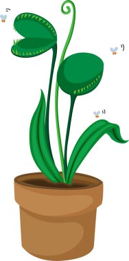 a pot plant clipart