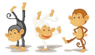 monkeys clipart