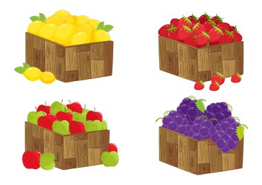 fruit clipart