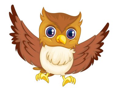 Isolated comical owl clipart