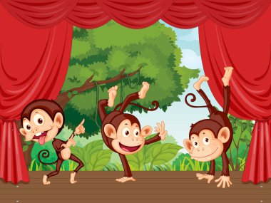 Sahne Alanı'nda maymunlar