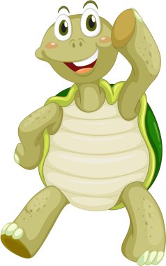 sevimli kaplumbağa karakter