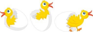 three ducklings clipart