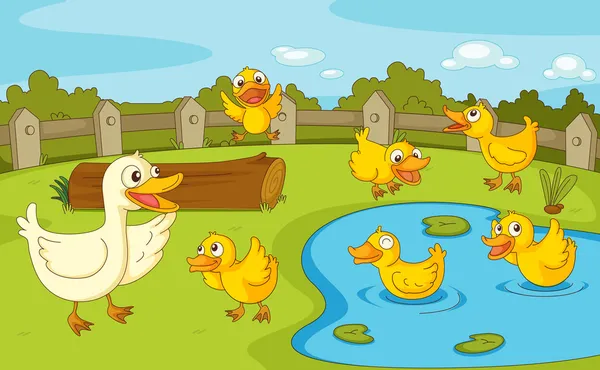 Ducks at the pond — Stock Vector