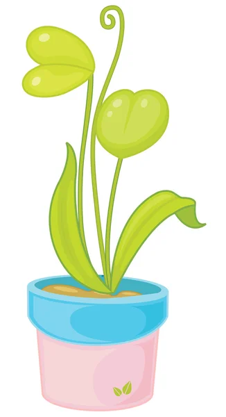 Potplant — 图库矢量图片