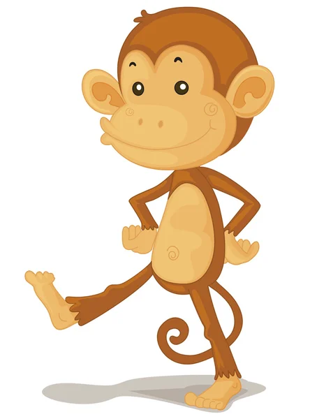 Monkey — Stock Vector