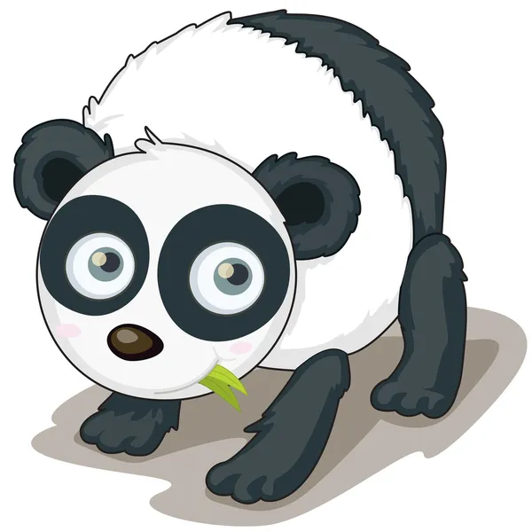 Panda. — Vector de stock