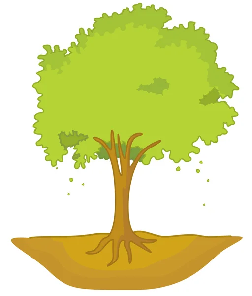 Tree — Stock Vector