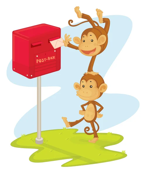 Macacos postando uma carta —  Vetores de Stock