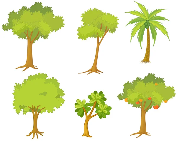 Çeşitli ağaçlar ve bitkiler — Stok Vektör