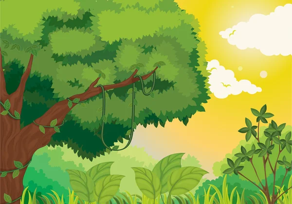 Džungle při západu slunce — Stockový vektor
