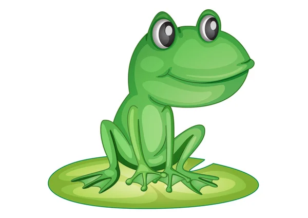 莉莉垫上的青蛙 — 图库矢量图片