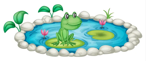 Frog in pond — Stock Vector