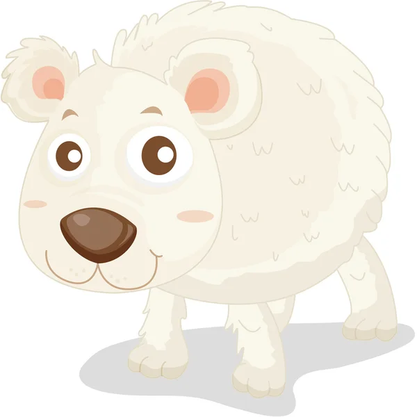 Polar bear — Stock Vector