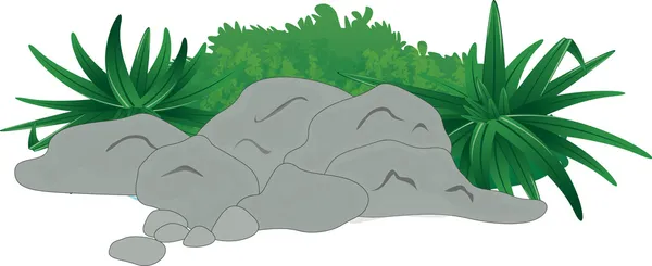 Felsen und Pflanzen — Stockvektor