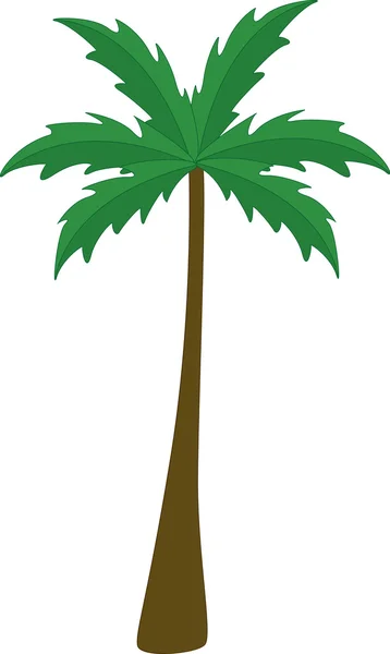 Пальма — стоковый вектор