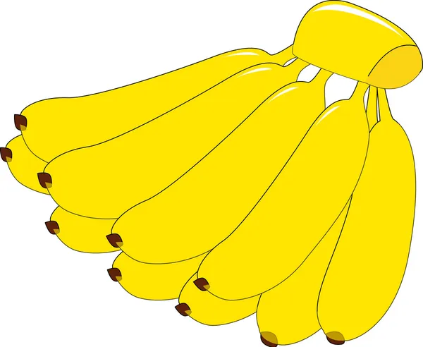 大串香蕉 — 图库矢量图片
